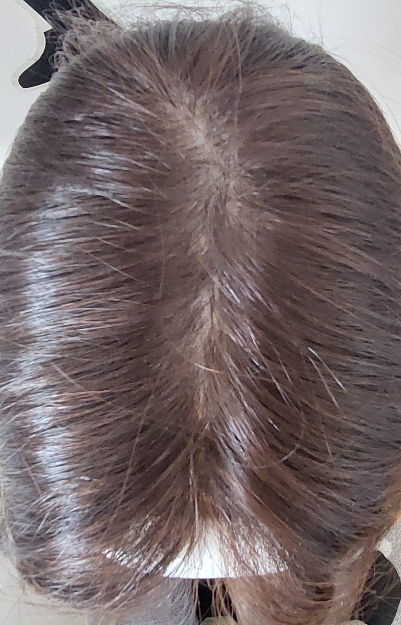 WhatsApp Image 2026 04 25 at 10.54.32 2