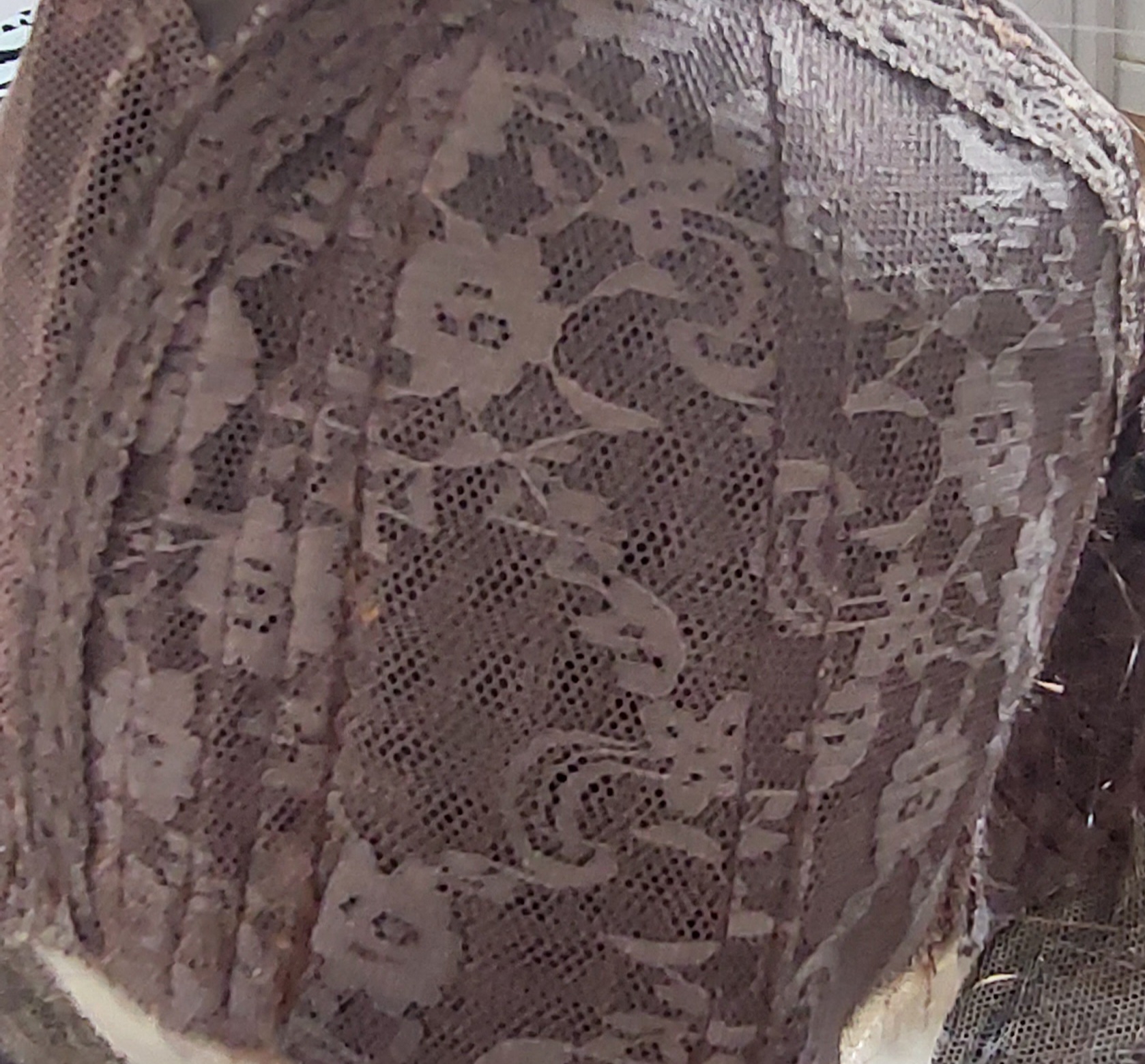 WhatsApp Image 2026 04 25 at 10.54.32